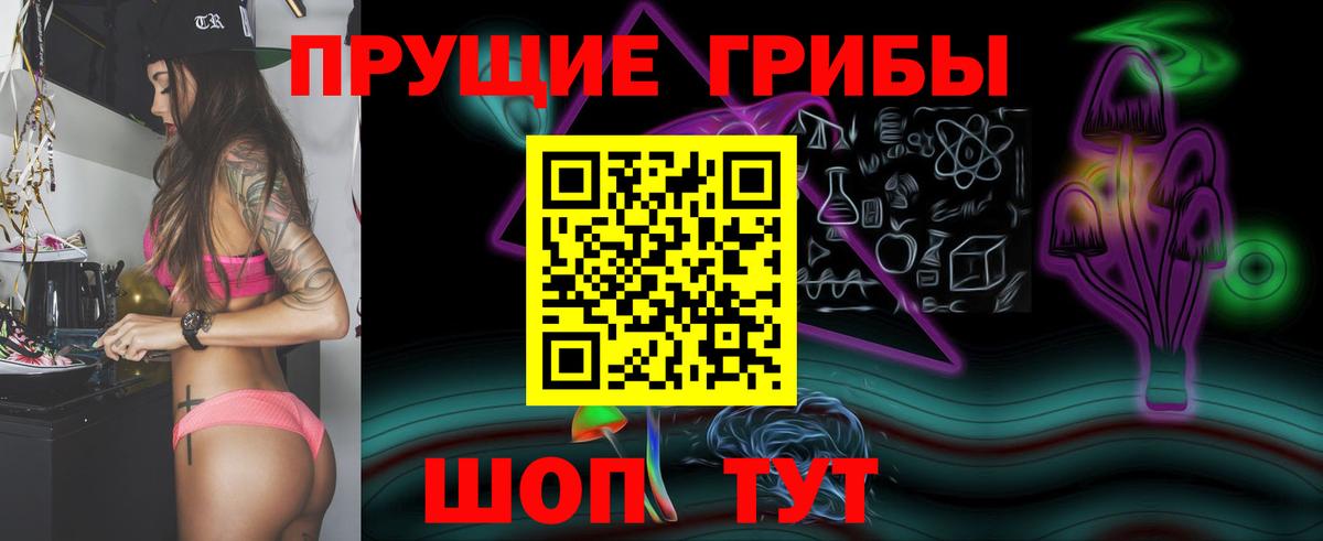 продажа наркотиков  Вход с VPN  Кирово-Чепецк  Галлюциногенные грибы Psilocybe 